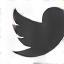 Twitter icon